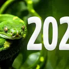 Jahr 2025: Welches Tier symbolisiert es? Merkmale und Farbe des östlichen Kalendersymbols