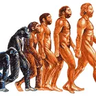 A Simple Guide to Evolution and How Humanity Evolved