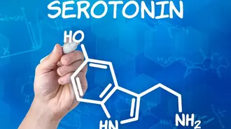 Все про гормон щастя – серотонін: як він формує настрій, сон і внутрішню рівновагу