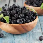 Brombeeren: Vorteile und 7 Fakten, die dich dazu bringen werden, sie täglich zu essen