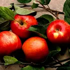 How Many Calories Are in Apples—and Why Are They Good for You?