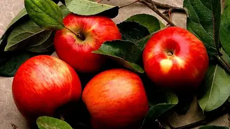Wie viele Kalorien haben Äpfel und warum sind sie gesund?