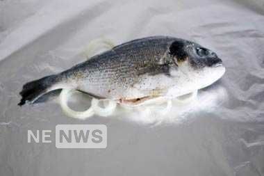 Дорадо і цибуля