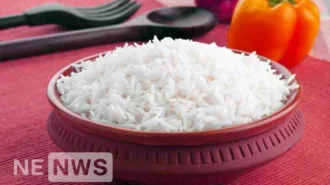 Як варити рис правильно. Пропорції та рецепт приготування рису в каструлі.