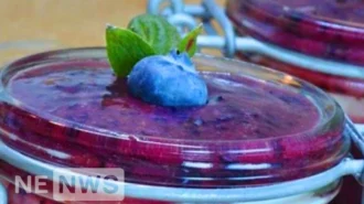 Повидло з лохини та яблук – рецепт джему-варення