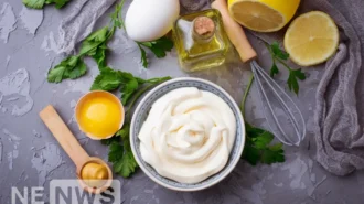 Jak zrobić domowy majonez – 5 przepisów