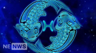 Риби знак зодіаку – дата, особливості характеру жінки, чоловіка, дитини