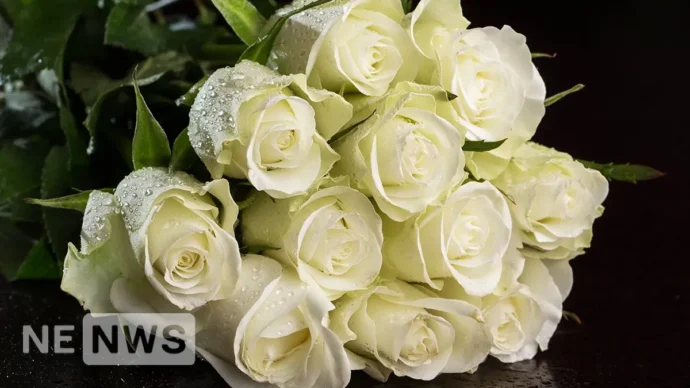 Як правильно доглядати за букетом з білих троянд в домашніх умовах