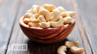 Горіхи кешью: В чому користь та скільки горіхів кешью можна їсти в день?