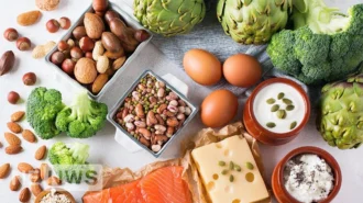 Що таке білки, де міститься білок, та скільки білку в день треба їсти?