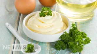 Як зробити домашній майонез: інгредієнти та 5 різних рецептів