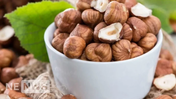 Чим корисний горіх фундук та скільки горіхів фундука можна їсти в день?