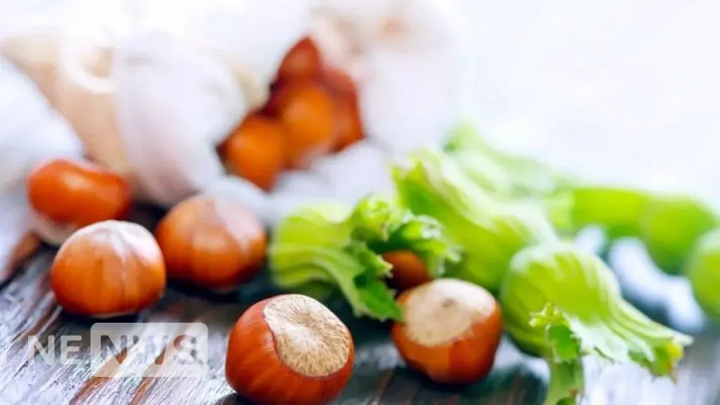 Скільки фундука можна їсти?