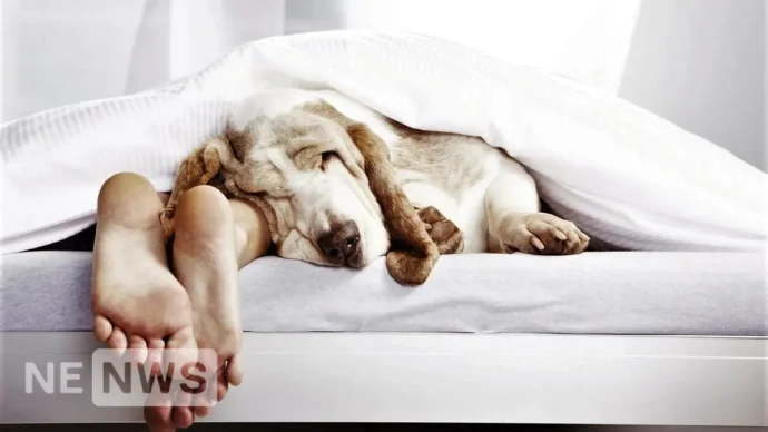 Як почати якісно спати, та чи правда здоровий сон такий важливий?