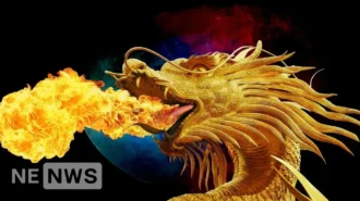 1988 рік якої тварини: особливості, характеристики та колір символу східного календаря