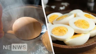 Як варити яйця правильно: всмятку, в круту – дієві поради для смачного приготування