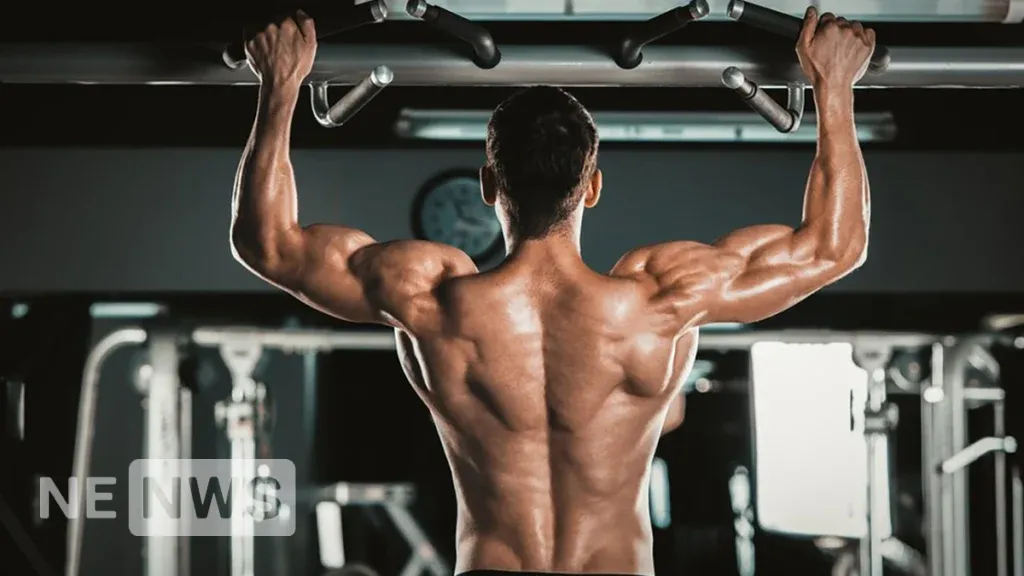 Супроводжувальні вправи допомагають краще опанувати техніку виконання жиму лежачи