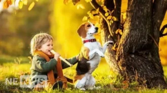 Найкращі маленькі породи собак для сімей з дітьми – ТОП-7 порід