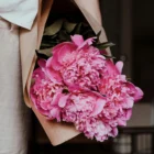 Коли садити півонію – правильний час та догляд