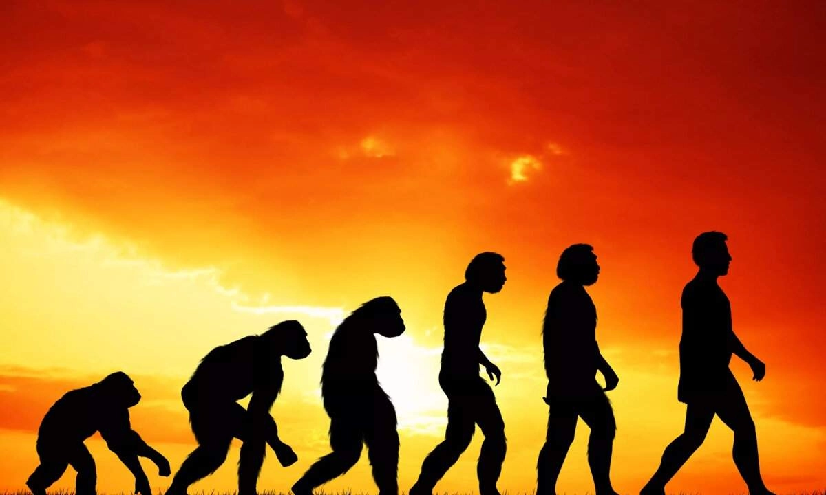 Як розвивалося людство?