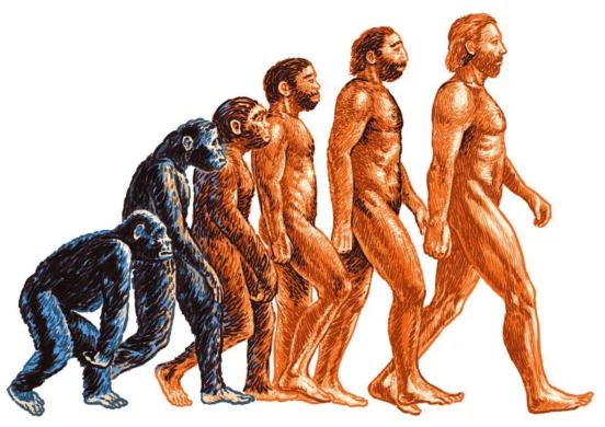 A Simple Guide to Evolution and How Humanity Evolved