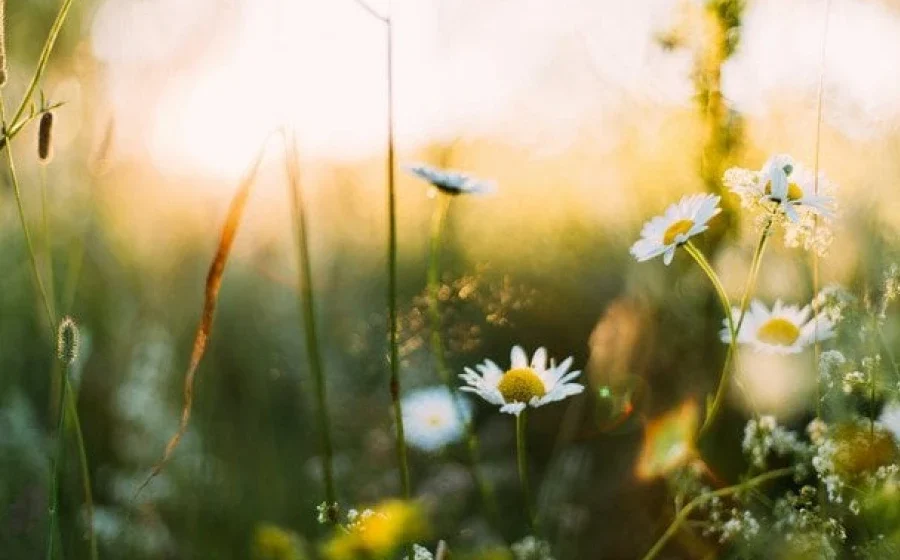 Прогноз погоди: в Україні очікуються дощі та сильний вітер