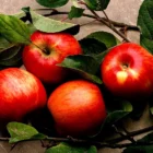 How Many Calories Are in Apples—and Why Are They Good for You?