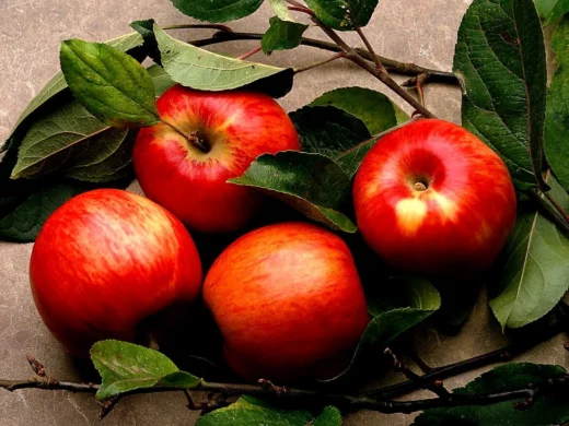 How Many Calories Are in Apples—and Why Are They Good for You?