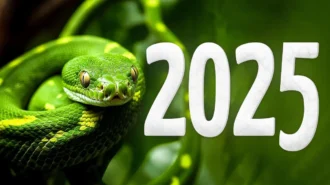 What Animal Rules 2025? Key Traits and Lucky Color