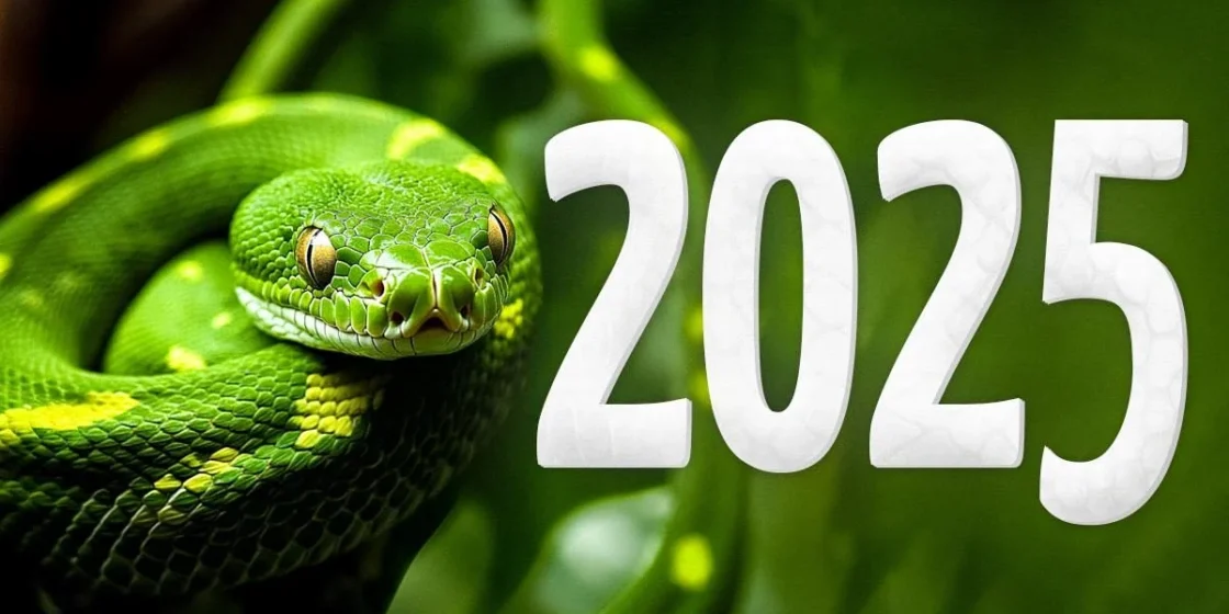 2025 рік якої тварини: характеристики та колір символу східного календаря