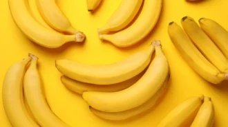 Bananas for Your Health and Fitness: Nutrients, Calories, and Expert Tips