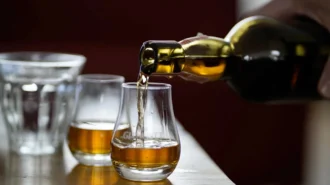 Як саме вода впливає на смак односолодового віскі