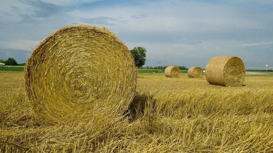 Різке похолодання: як зміниться погода в Україні після спеки
