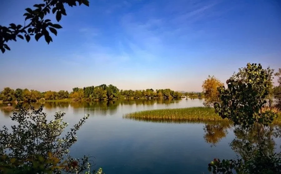 Українські області очікують спеки до +34°C: прогноз погоди на вівторок