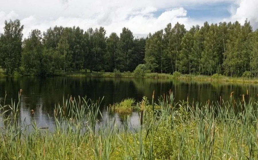 Спека на півдні та сході України продовжиться на початку серпня