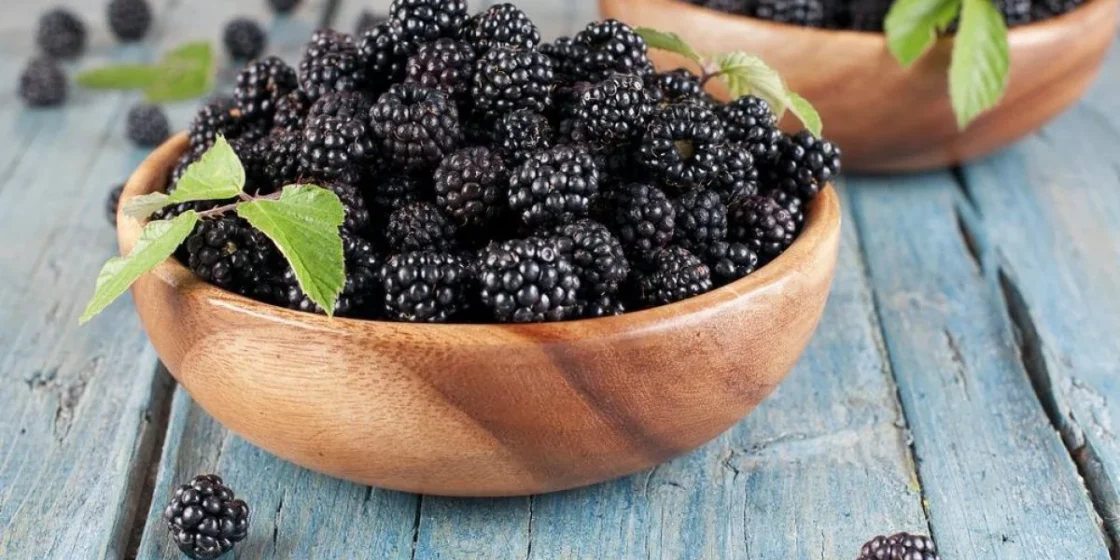 Blackberries: Benefits and 7 Facts That Will Make You Want Them Every Day