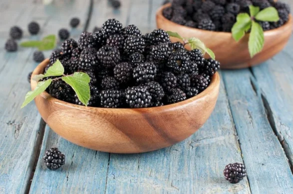 Blackberries: Benefits and 7 Facts That Will Make You Want Them Every Day