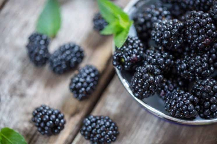 Conditions where blackberries can help