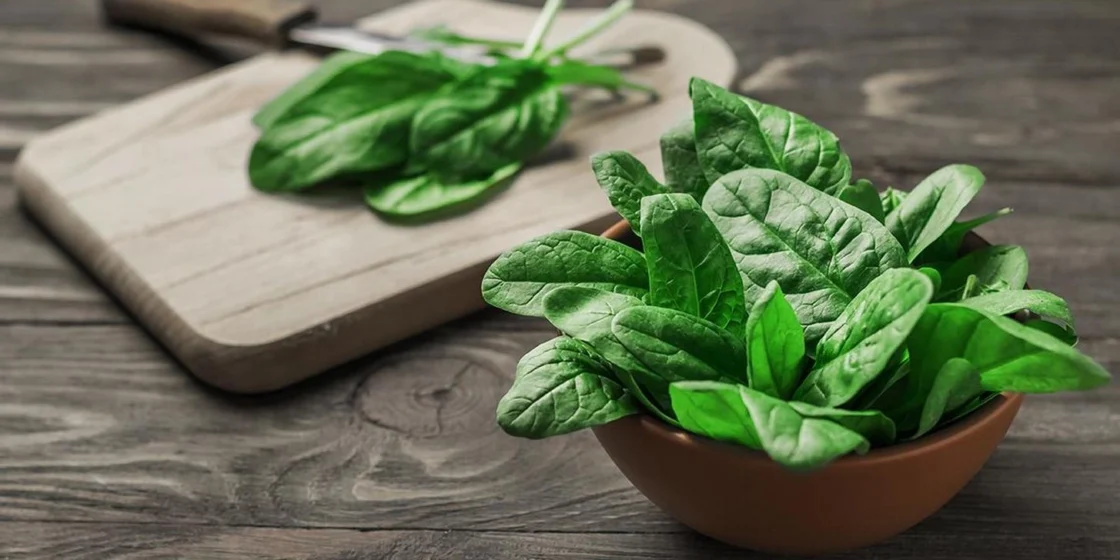 Користь шпинату для здоров’я: результати клінічних досліджень і думки дієтологів