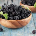 Brombeeren: Vorteile und 7 Fakten, die dich dazu bringen werden, sie täglich zu essen