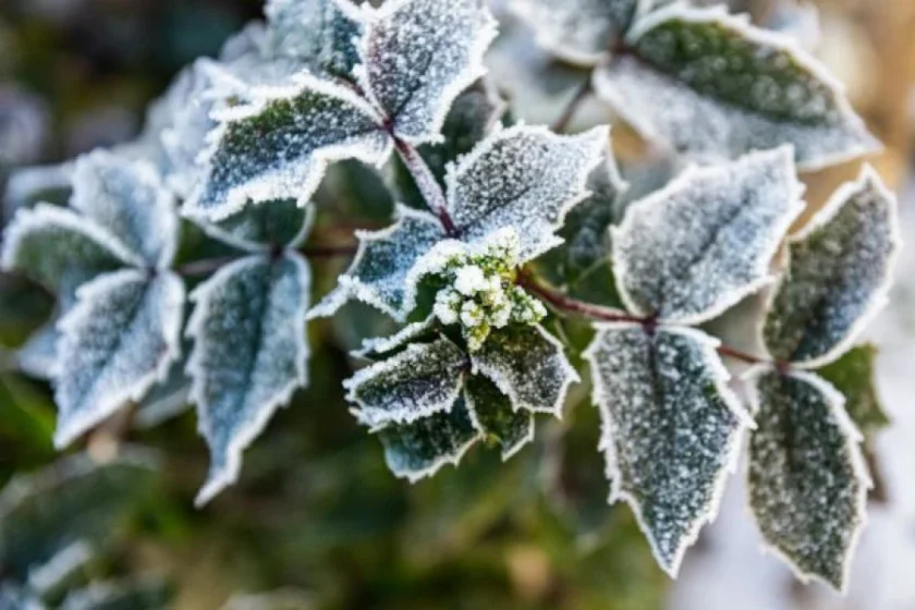 Заморозки до -3°C та висока пожежна небезпека в Україні: що слід знати