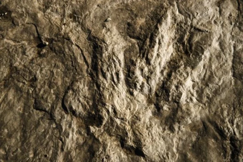 Сліди динозаврів Cetiosaurus: нове відкриття в палеонтології