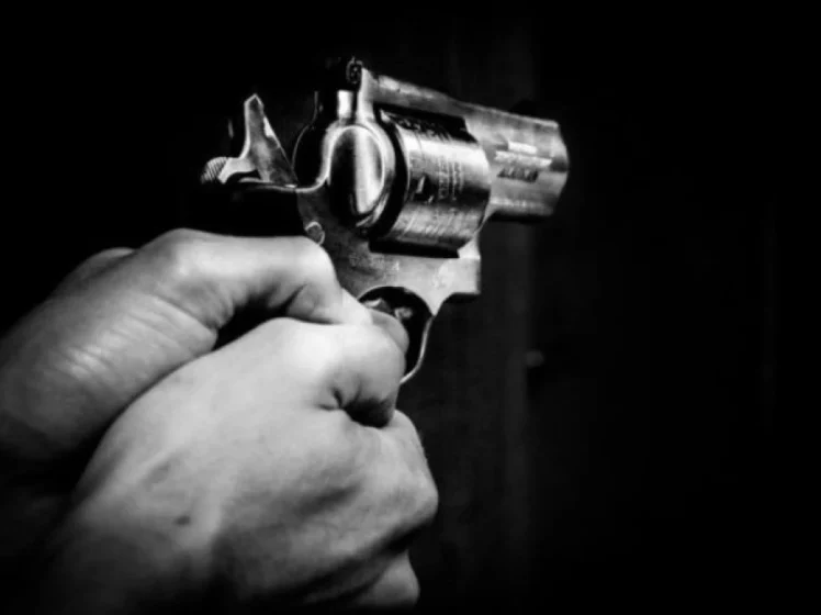 Затримання стрільця: Поліція оперативно встановила особу та затримала злочинця