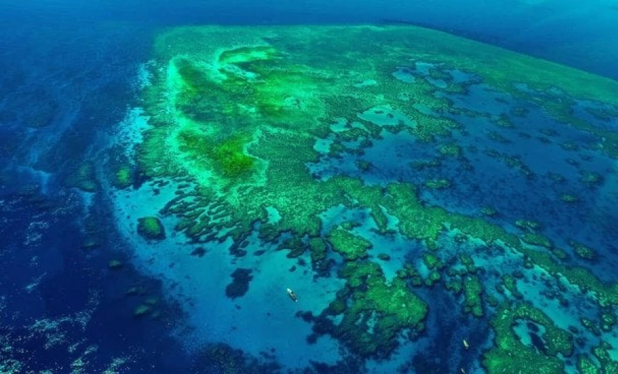 Рекордна хвиля тепла у північноєвропейських морях: наслідки кліматичних змін