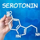 Все про гормон щастя – серотонін: як він формує настрій, сон і внутрішню рівновагу