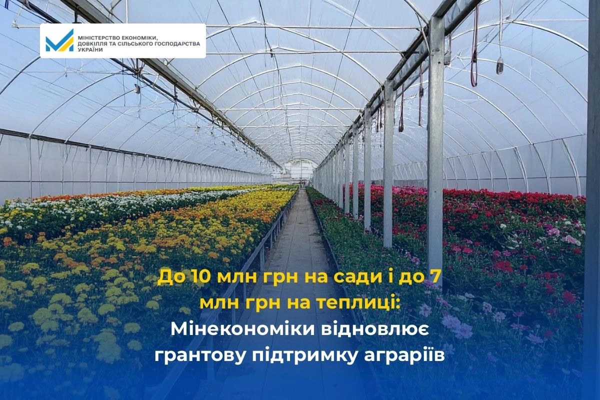 Теплиця з квітами, банер про грантову підтримку аграріїв від Міністерства економіки України