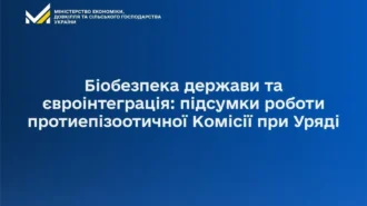 Епізоотична ситуація 2025: скільки спалахів АЧС і що змінить план 2026?