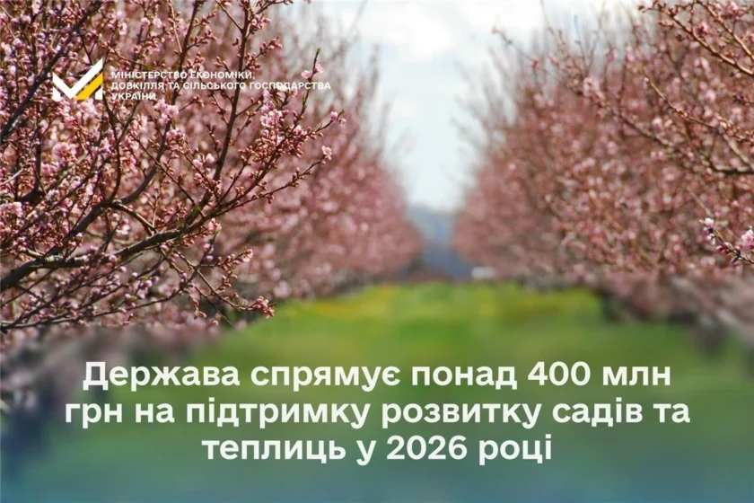 Державні гранти на садівництво і теплиці: хто може подати заявку і на які суми?