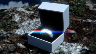 Як «Шлюб онлайн у Дії» встановив рекорд і став сервісом без аналогів?