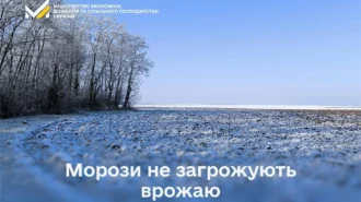 Чи загрожують врожаю січневі морози? Мінекономіки заспокоює з цифрами та планом дій